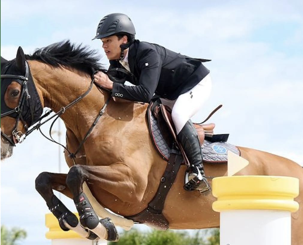 Dokumen Passport Pordasi sebagai kartu identitas resmi yang memuat data fisik, silsilah, dan riwayat kepemilikan kuda untuk kejuaraan nasional