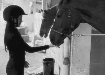 Dokumentasi Instagram Alisiarininta22