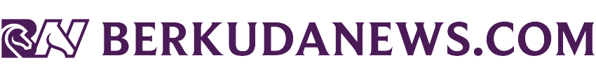 berkudanews.com