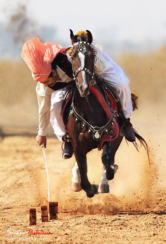 Ilustrasi---Tent Pegging. (Dok. Facebook Pakistan Embessay Indonesia).