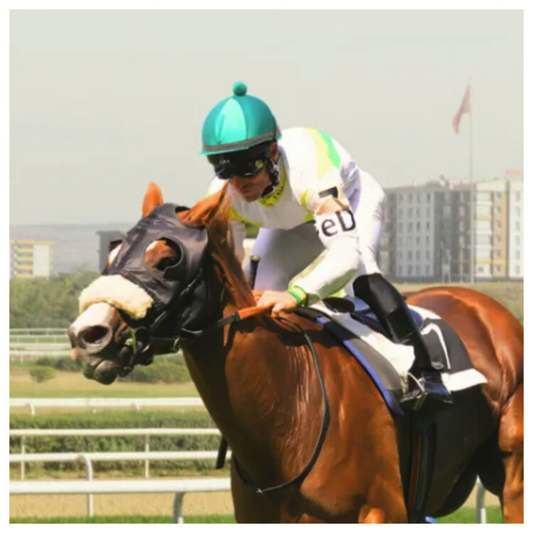 Olahraga Berkuda. Tangkapan layar/Instagram Pordasi.id)