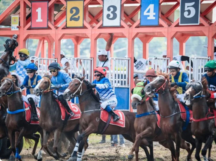 Ilustrasi Pacuan Kuda. (Dok. PORDASI)