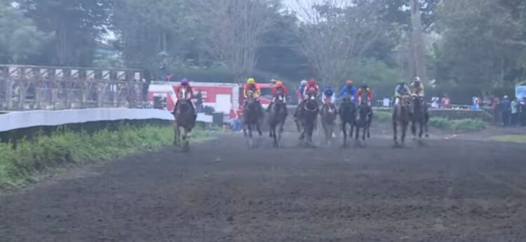 Penampakan pada kuda peserta saat bertanding di Jateng Derby di Tegalwaton, Semarang pada Minggu (15/2).