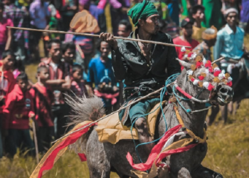 Mengenal Tradisi Pasola, Kuda Sumba jadi Magnet Bagi Wisatawan