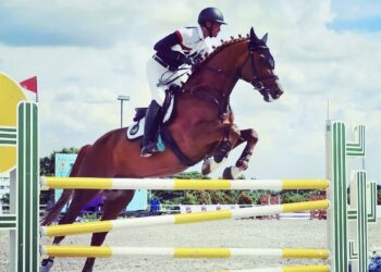 Pemilik Kuda Wajib Tahu! Hindari 3 Kesalahan Fatal yang Bikin Kuda Lemah