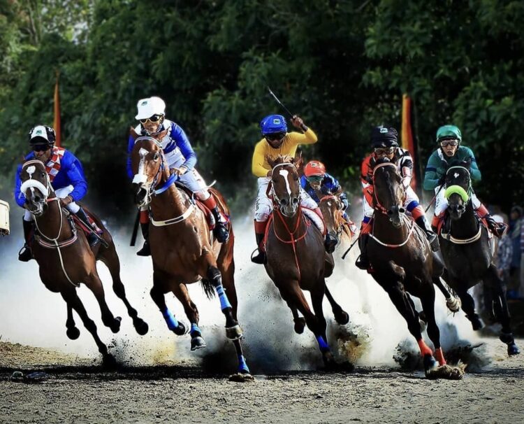 Ilustrasi--Dokumentasi Pordasi Sumbar