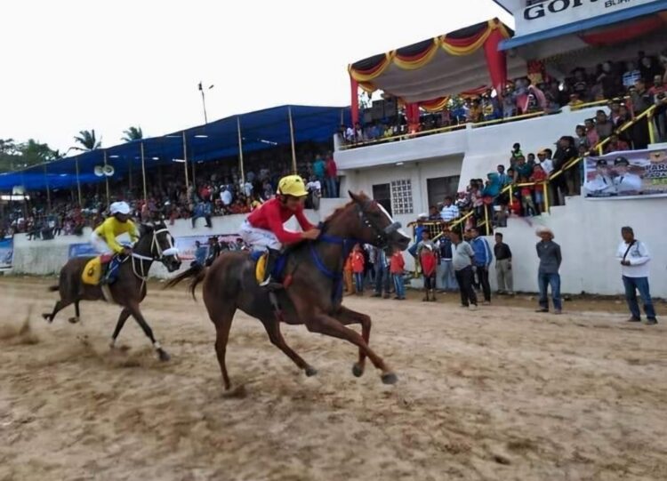 Ilustrasi-- Dokumentasi Pacuan Kuda Sumatra Barat