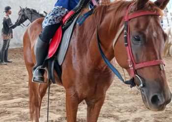 Salut! Tembus Level Asia, Heny Soviyati Atlet Muda Asal Probolinggo Raih Peringkat 8 di ILMBI 2026