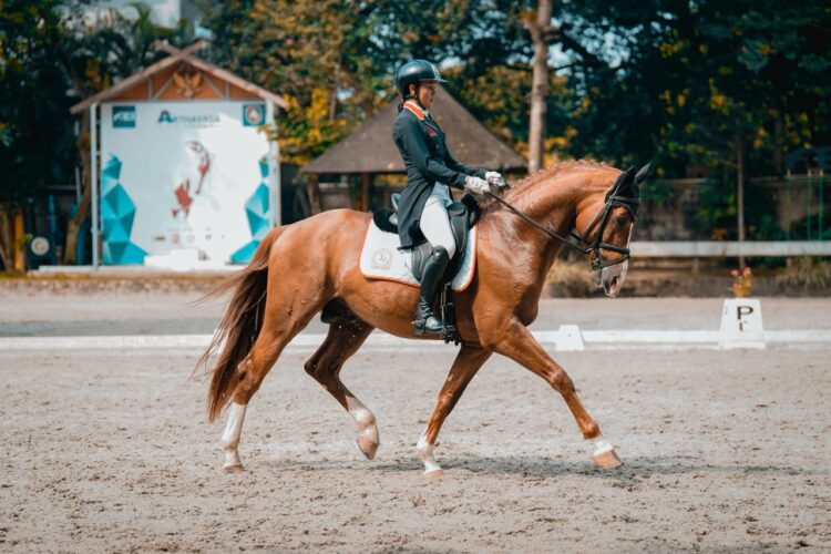 Ilustrasi---Rider asal Aragon Equestrian Sport, Audirania Amanda Putri. (tangkapan layar/Akun Instagram @horsemove_media)