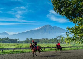 Jadi Markas Jateng Derby 2026, Fakta Lintasan Tegalwaton: Area Balapan Terunik, Saksi Hidup Perjalanan Sejarah Pacuan Kuda di Indonesia!