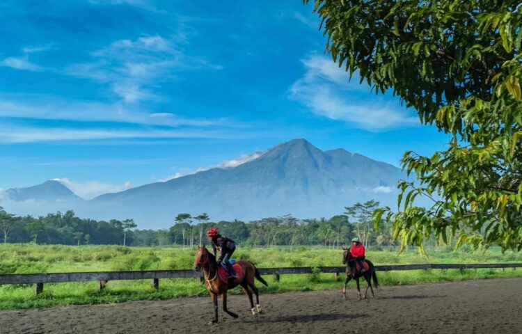 Arena Pacuan Kuda Tegalwaton di Kabupaten Semarang, Jawa Tengah. (Dokumentasi Akun Instagram Senjoyovillage).