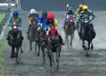 Penampakan para kuda peserta yang bertanding dalam Kelas F Heat I -1000 Meter di ajang Jateng Derby 2026. (Dok SARGA.CO)