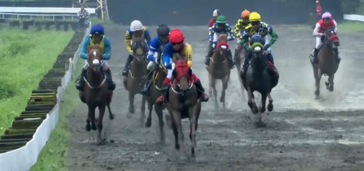Penampakan para kuda peserta yang bertanding dalam Kelas F Heat I -1000 Meter di ajang Jateng Derby 2026. (Dok SARGA.CO)