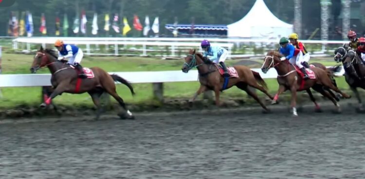 Penampakan sejumlah kuda peserta Derby Jateng 2026 saat melesat lintasan Gelanggang Pacuan Kuda Tegalwaton, Semarang, Minggu (15/2). (Dok. Youtube Sarga.co)