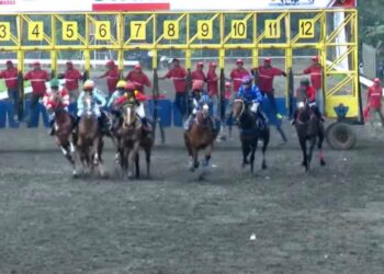 Derby Jateng jadi Ajang Balas Dendam! Kuda Dominator Asal Jakarta Tekuk Para Kuda Pesaingnya di Lintasan Tegalwaton