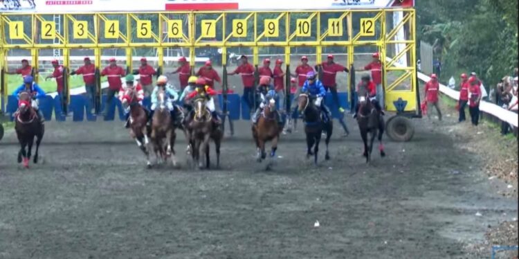 Penampakan sejumlah kuda peserta Derby Jateng 2026 saat melesat lintasan Gelanggang Pacuan Kuda Tegalwaton, Semarang, Minggu (15/2). (Dok. Youtube Sarga.co)