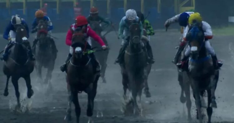 Penampakan para peserta Kelas Terbuka 2.000 meter di ajang Jateng Derby pada Minggu (15/2). (Dok. Youtube SARGA.CO)