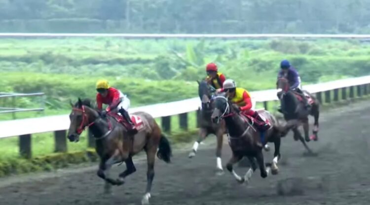 Penampakan para kuda peserta saat bersaing ketat di lintasan Tegalwaton dalam Kejuaran Jateng Derby 2026. (Tangkapan layar/Youtube SARGA.CO)