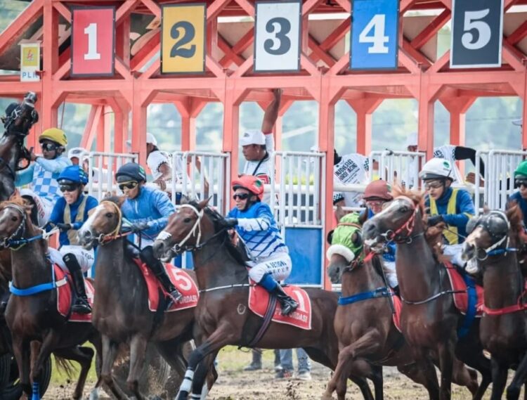 Ilustrasi--Sejumlah kuda pacu saat keluar dari starting stall (pintu start)  di balapan pacuan kuda. (Sumber: laman Pordasi.id)