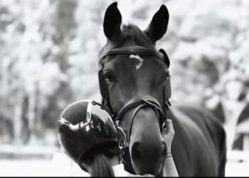 Telat Potong Kuku Bisa Pengaruhi Performa Kuda? Begini Penjelasannya!