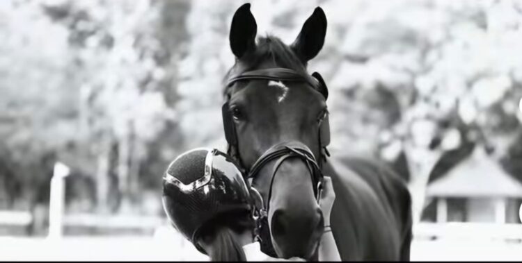 Ilustrasi kuda.  (Dokumentasi Pordasi DIY)