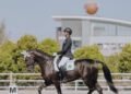 Wajib Diketahui Pemula! Penjelasan Lengkap Dressage Berkuda: Mulai dari Teknik, Tips hingga Persiapan