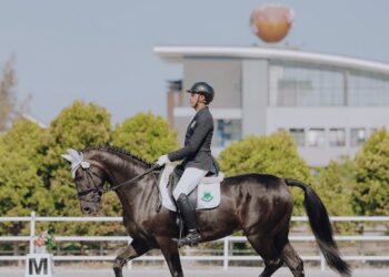 Wajib Diketahui Pemula! Penjelasan Lengkap Dressage Berkuda: Mulai dari Teknik, Tips hingga Persiapan