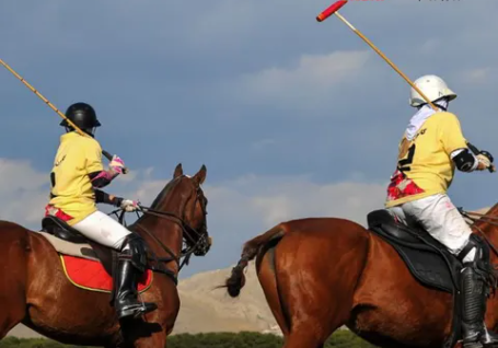 Ilustrasi olahraga Polo. (Tangkapan layar/Instagram @federasipolo. pordasi)