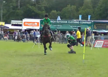 Horseboarding: Skateboard Ditarik Kuda, Olahraga Menantang yang Bikin Jantung Deg-degan!