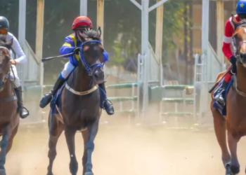 Ini Jadwal Kalender Pacuan Kuda Indonesia’s Horse Racing 2026