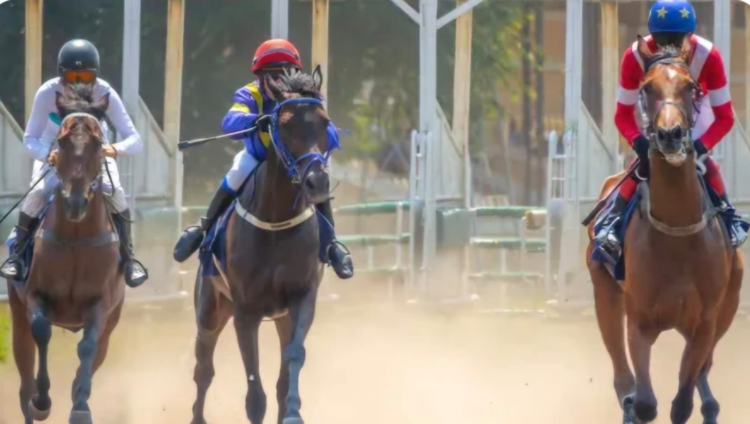 Ilustrasi--Penampakan para atlet berkuda saat bertanding di arena pacuan. (ist)