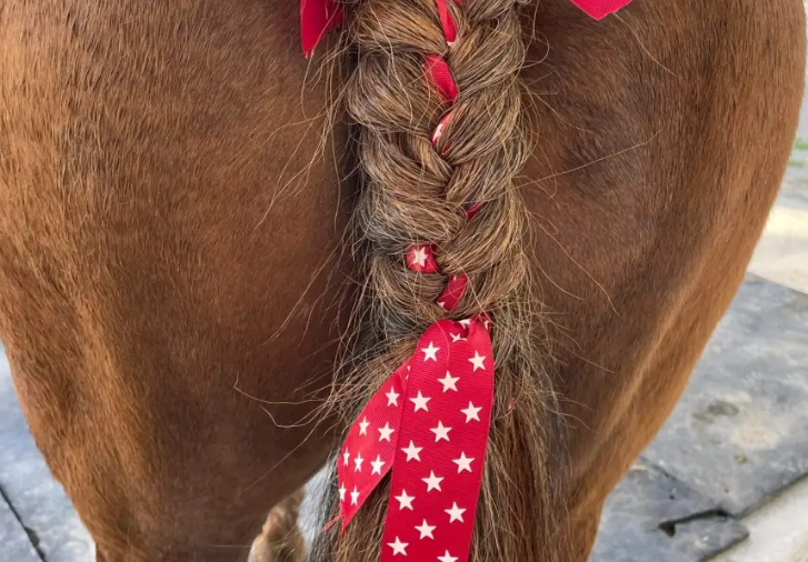 Ilustrasi--Penampakan pita di ekor kuda. (Tangkapan layar/Dokumen: jessicaeblack.org)