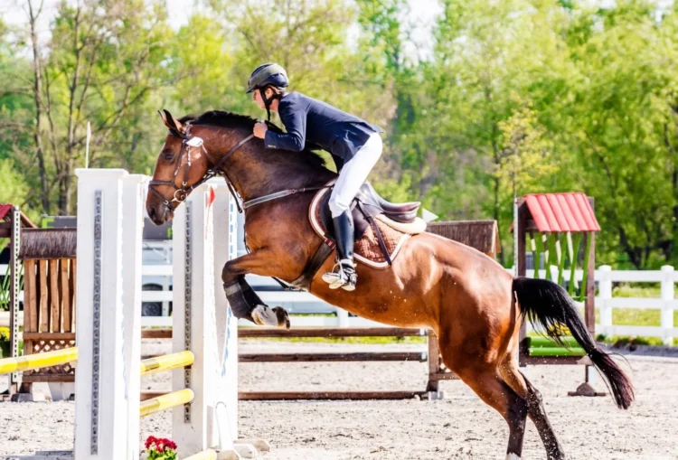 Ilustrasi--olahraga berkuda. (Dokumen foto: equspaddock.com)