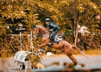 Kejar Standar Dunia, PP Pordasi Sebut Joki Berkuda Indonesia Bakal Dikirim Training ke Prancis