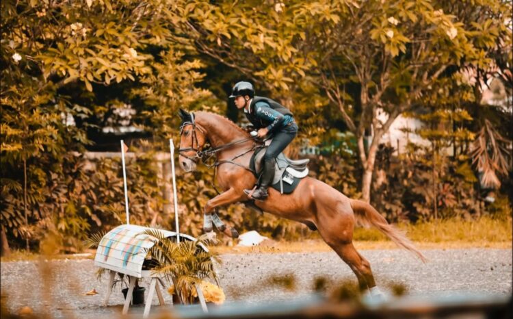 Ilustrasi atlet olahraga berkuda. (Dokumentasi Pordasi DIY)