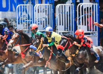 Jaga Performa, Pentingnya Asupan Garam 30–60 Gram Per Hari untuk Kuda, Simak Selengkapnya di Sini!