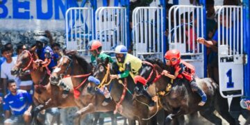 Jaga Performa, Pentingnya Asupan Garam 30–60 Gram Per Hari untuk Kuda, Simak Selengkapnya di Sini!