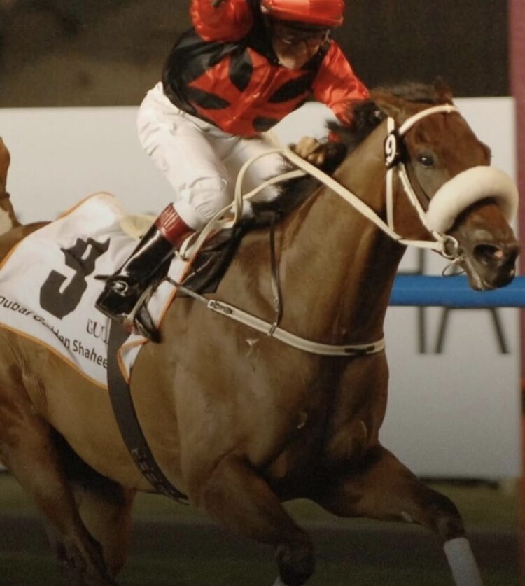 Dunia balap kuda Asia berduka setelah kabar wafatnya kuda pacu legendaris Rocket Man pada usia 20 tahun. (Dokumentasi Instagram World Horse Racing)