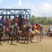 PON 2028: NTT-NTB Bakal Gelar Pacuan Kuda Tradisional Tanpa Pelana!