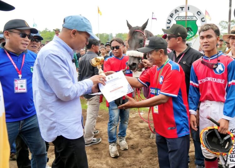 Raja Permata, kuda asal Sulawesi Selatan berhasil memboyong hadiah utama sebesar Rp12 juta usai menjuarai Pacuan Kuda Ambal 2026. (Sumber Foto: Dokumentasi Prokopimkebumen)