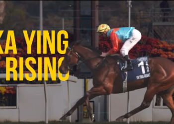 Membidik Rekor Abadi: Ka Ying Rising Incar Kemenangan ke-19 Beruntun di Sprint Cup Hong Kong