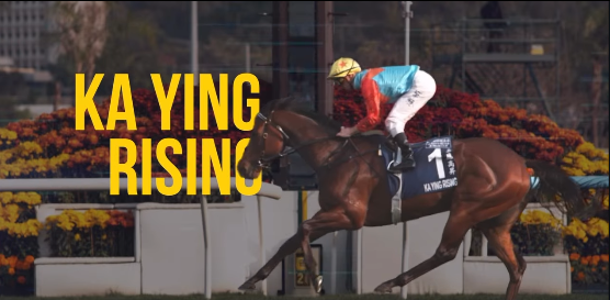 Ilustrasi--Penampakan Ka Ying Rising, kuda sprinter saat berpacu di lintasan. (tangkapan layar/Instagram @hkjcracingsports).