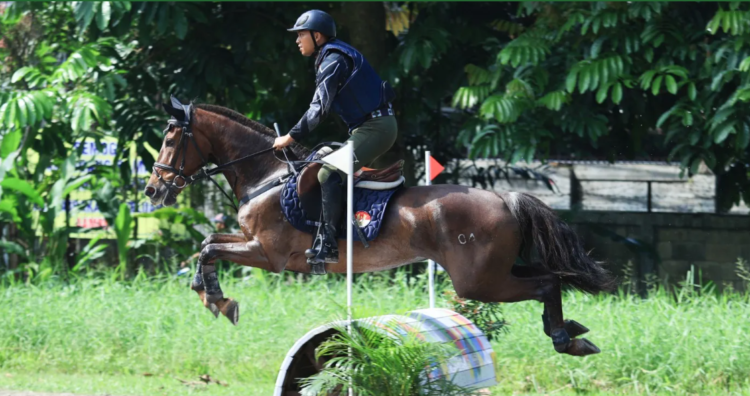 Ilustrasi--Penampakan seekor kuda saat ditunggangi seorang rider di lintasan. (Tangkapan layar/Pordasi.id)