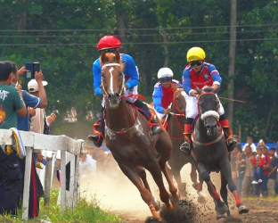 Laga Panas Kelas A 2.000 Meter, Raja Permata Tampil Ganas di Ajang Bupati Cup 2026