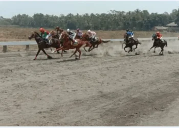 Panggung Elite Pacuan Kuda Nasional Kembali Dibuka, Seri 2 Triple Crown dan Piala Raja Mangkunegara Siap Digelar