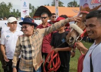 Kuda Bupati Eka Putra Tampil Memukau di Ajang Pacu Kuda Pariaman 2026, Queen Mentari Sabet Gelar Juara!