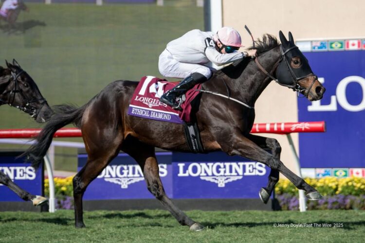 Momen dramatis tersaji dalam ajang Breeders’ Cup Turf yang berlangsung di Del Mar, Amerika Serikat, pada tahun 2025. Seekor kuda bernama Ethical Diamond bersama joki muda berbakat Dylan Browne McMonagle berhasil mencuri perhatian publik setelah meraih kemenangan luar biasa di tikungan terakhir lintasan.  (tangkapan layar/Facebook Horse Racing Away Days)