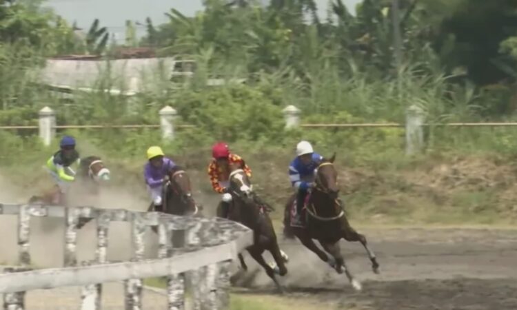 Ilustrasi---Penampakan para joki berkuda saat bertanding di ajang IHR Triple Crown Serie 1 dan Pertiwi Cup 2026 yang digelar di lintasan pacu kuda Sultan Agung DIY pada Sabtu (4/4). (tangkapan layar/Dokumentasi Youtube Indonesia Horse Racing)