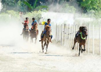 Local Pride! Mengenal 4 Tradisi Pacuan Kuda di Indonesia, Mulai dari Aceh hingga Sumba