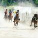 Local Pride! Mengenal 4 Tradisi Pacuan Kuda di Indonesia, Mulai dari Aceh hingga Sumba